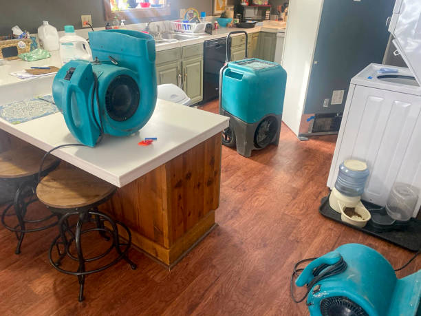 Best 24/7 water damage repair  in Pinardville, NH