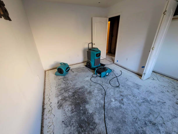 Best Carpet water damage restoration  in Pinardville, NH