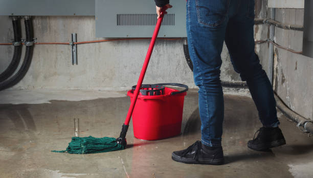Best Flooded house restoration  in Pinardville, NH