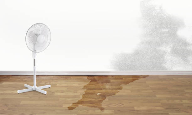 Best Water damage restoration specialists  in Pinardville, NH