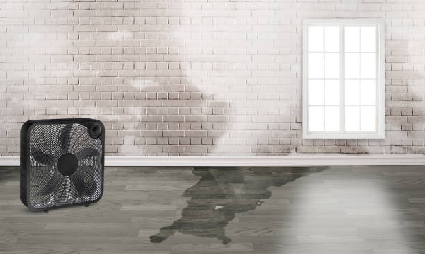 Best Commercial water damage restoration  in Pinardville, NH