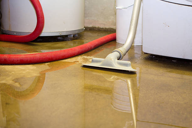 Best Local water damage restoration  in Pinardville, NH