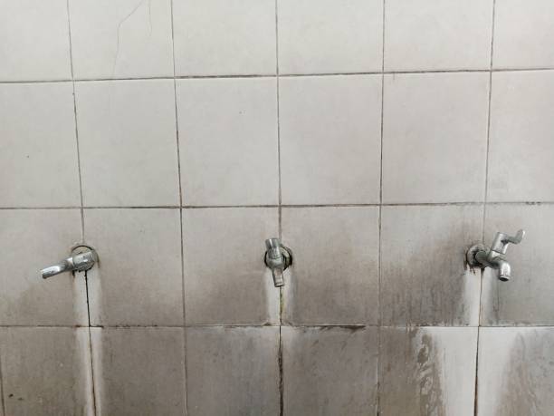 Best Ceiling water damage repair  in Pinardville, NH